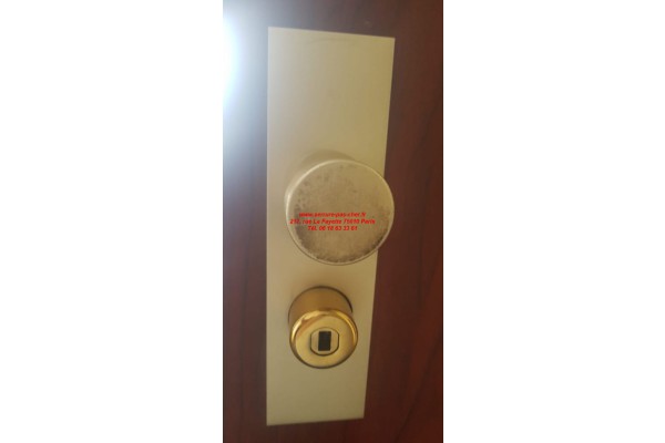 protege cylindre fichet palieris